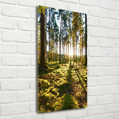 Wall art on glass a pine forest