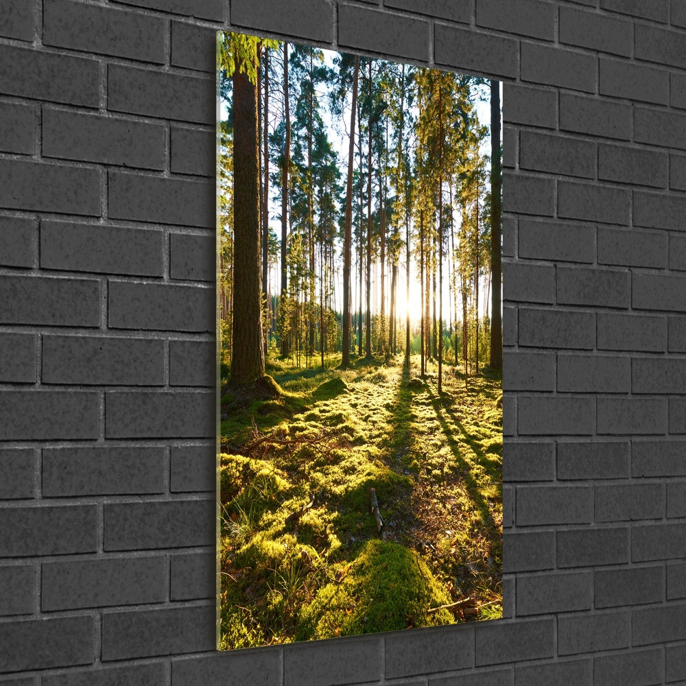 Wall art on glass a pine forest