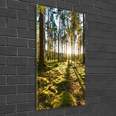 Wall art on glass a pine forest