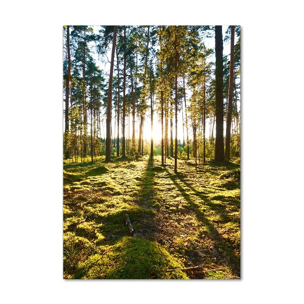 Wall art on glass a pine forest