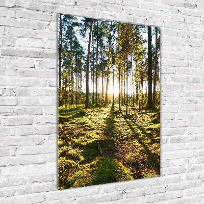 Wall art on glass a pine forest