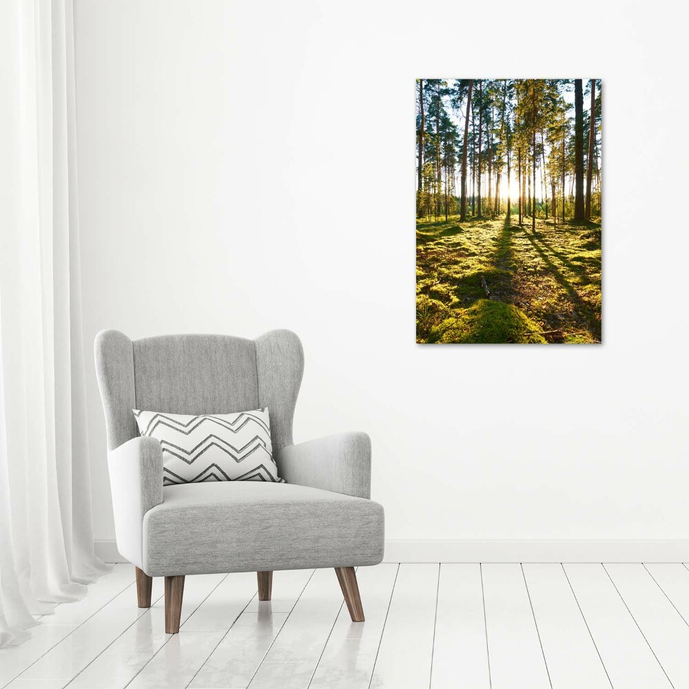 Wall art on glass a pine forest