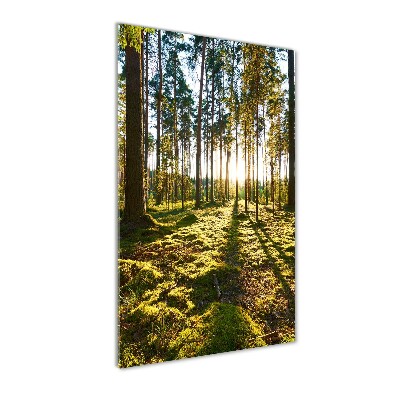 Wall art on glass a pine forest