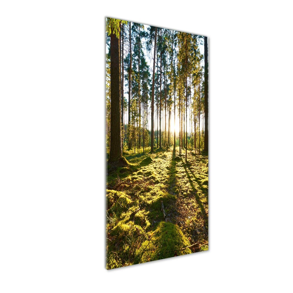 Wall art on glass a pine forest