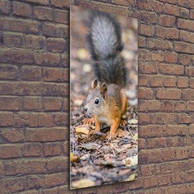 Glass art picture Squirrel in the forest