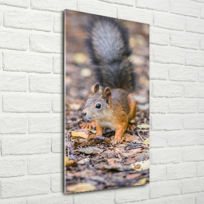 Glass art picture Squirrel in the forest