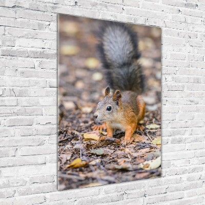 Glass art picture Squirrel in the forest