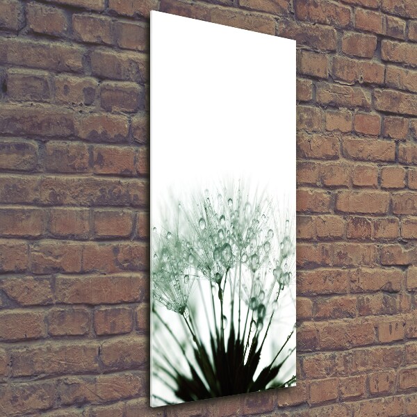 Glass wall art Dandelion seeds