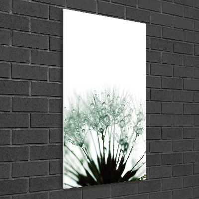 Glass wall art Dandelion seeds