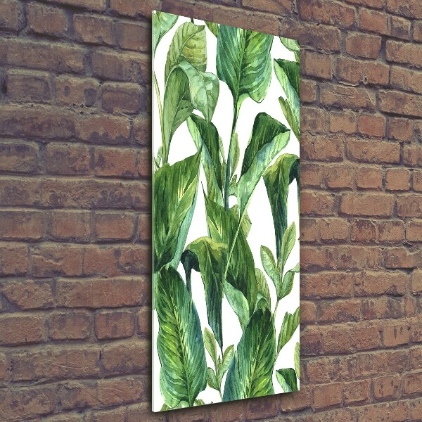 Wall art on glass Tropical leaves