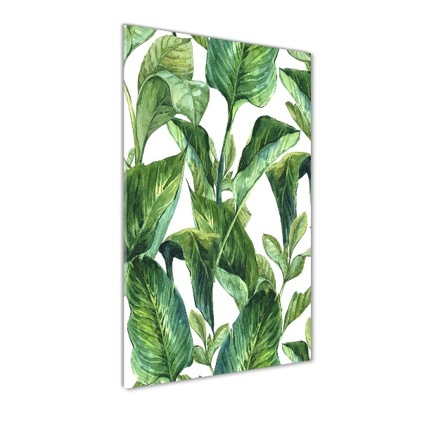 Wall art on glass Tropical leaves