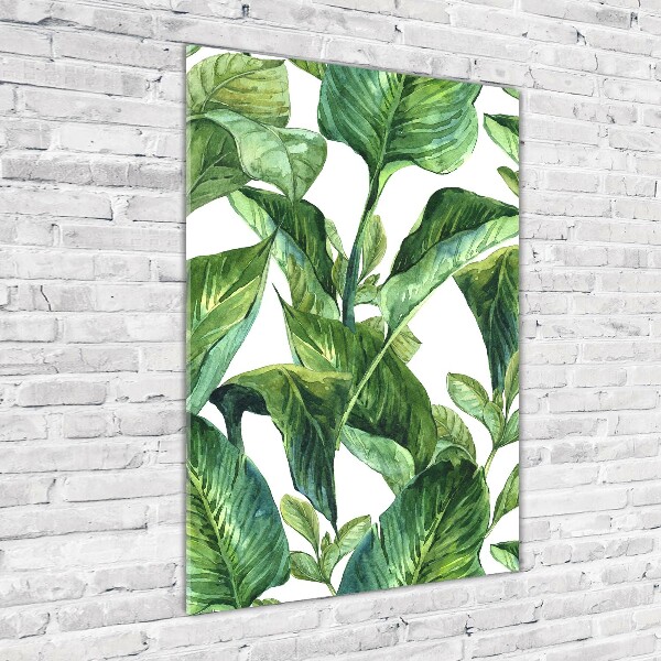 Wall art on glass Tropical leaves