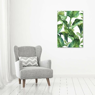 Wall art on glass Tropical leaves