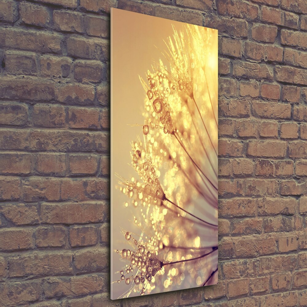 Wall art on glass Dandelion seeds