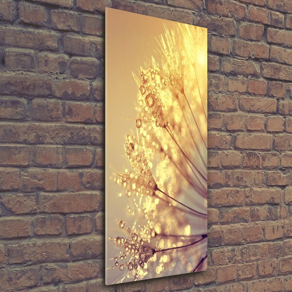 Wall art on glass Dandelion seeds