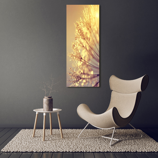 Wall art on glass Dandelion seeds