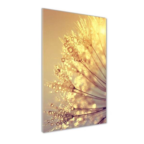 Wall art on glass Dandelion seeds