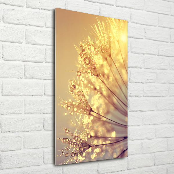 Wall art on glass Dandelion seeds