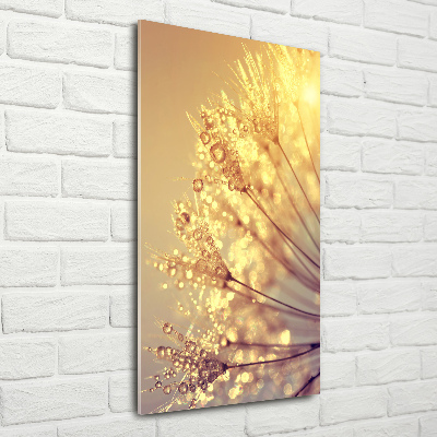 Wall art on glass Dandelion seeds