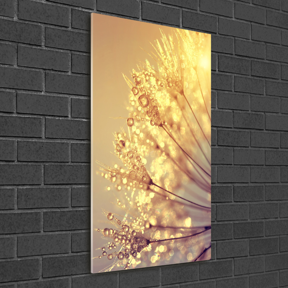 Wall art on glass Dandelion seeds