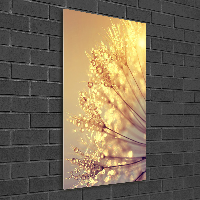 Wall art on glass Dandelion seeds