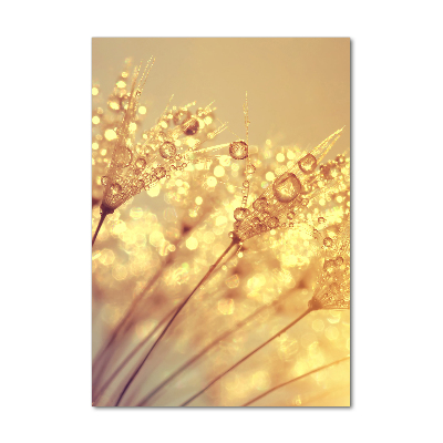 Wall art on glass Dandelion seeds