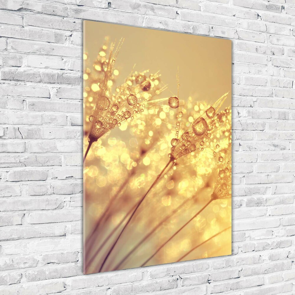 Wall art on glass Dandelion seeds