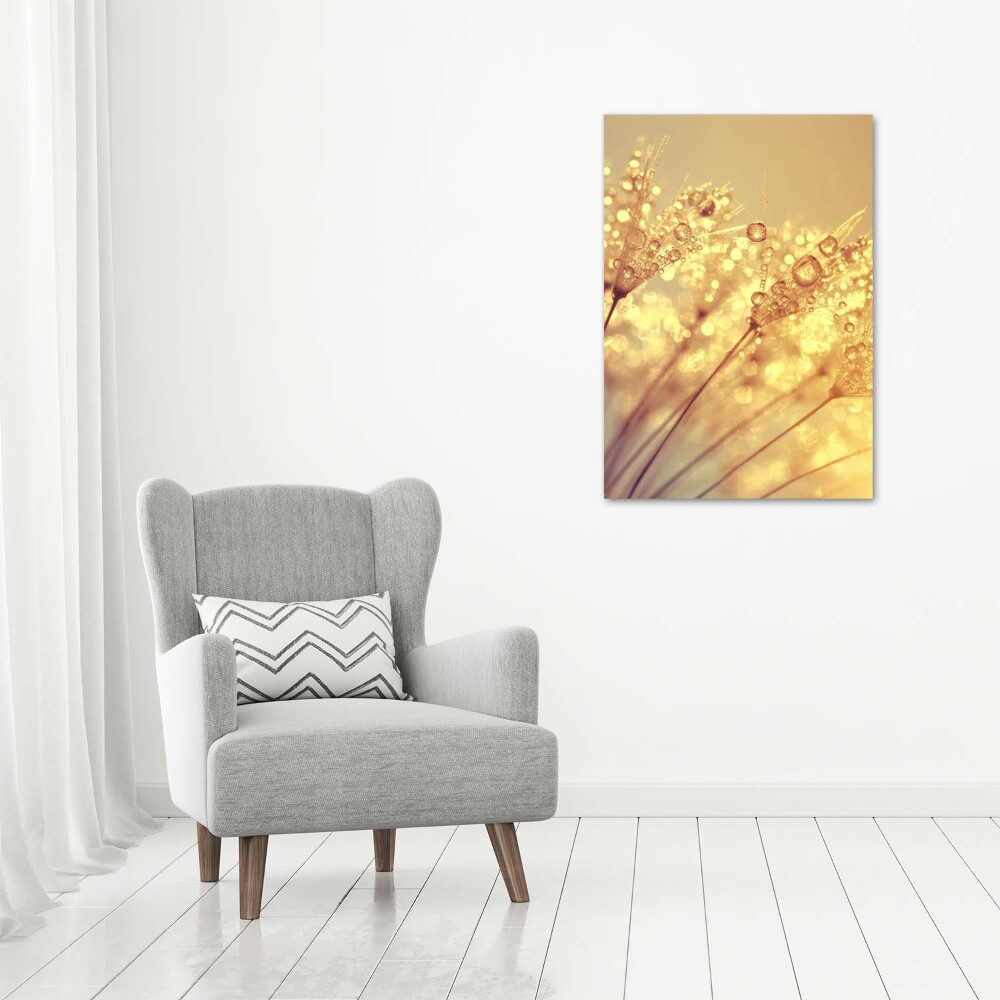 Wall art on glass Dandelion seeds