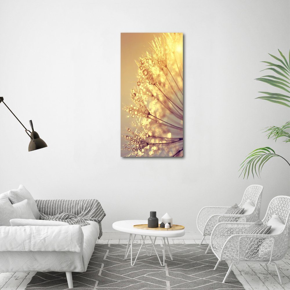 Wall art on glass Dandelion seeds