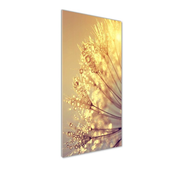 Wall art on glass Dandelion seeds