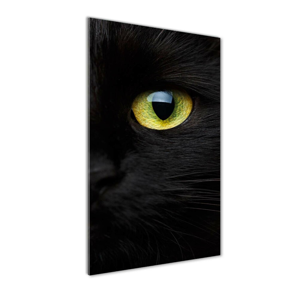 Wall art on glass Cat's eyes