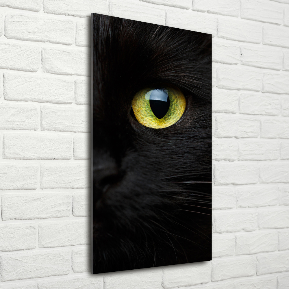 Wall art on glass Cat's eyes