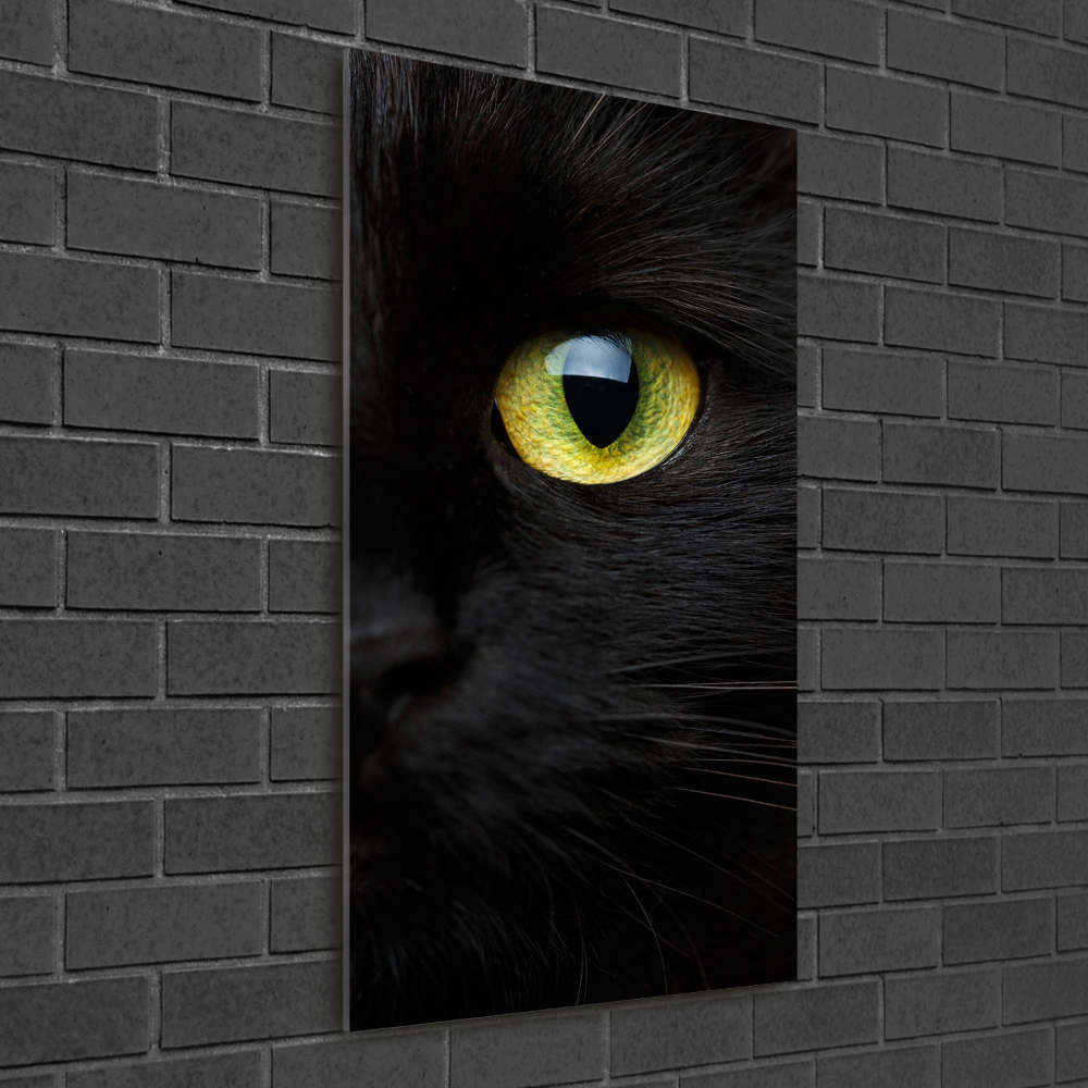 Wall art on glass Cat's eyes