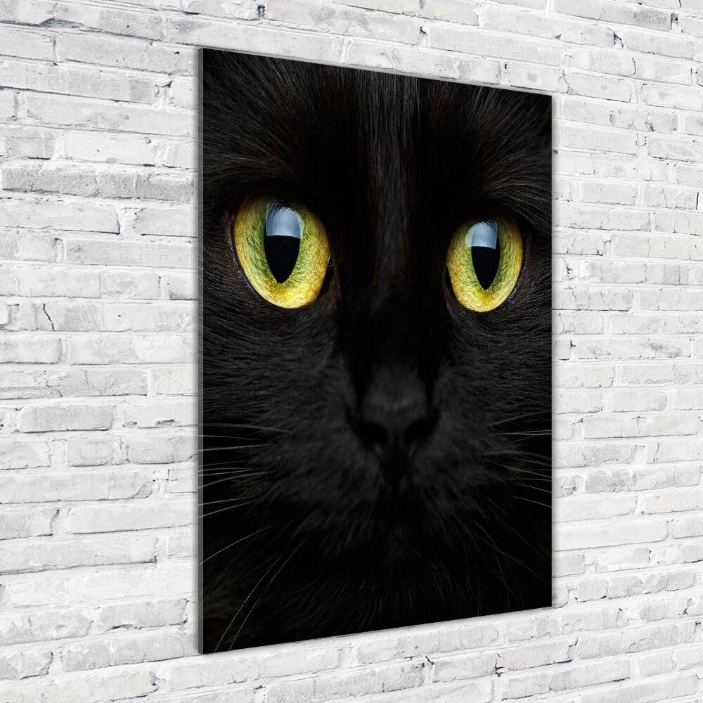 Wall art on glass Cat's eyes