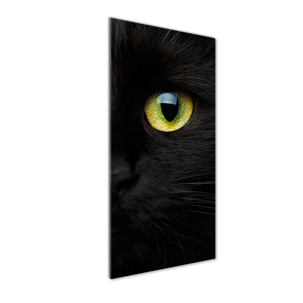 Wall art on glass Cat's eyes