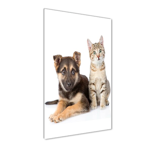 Wall art on glass Dog and cat