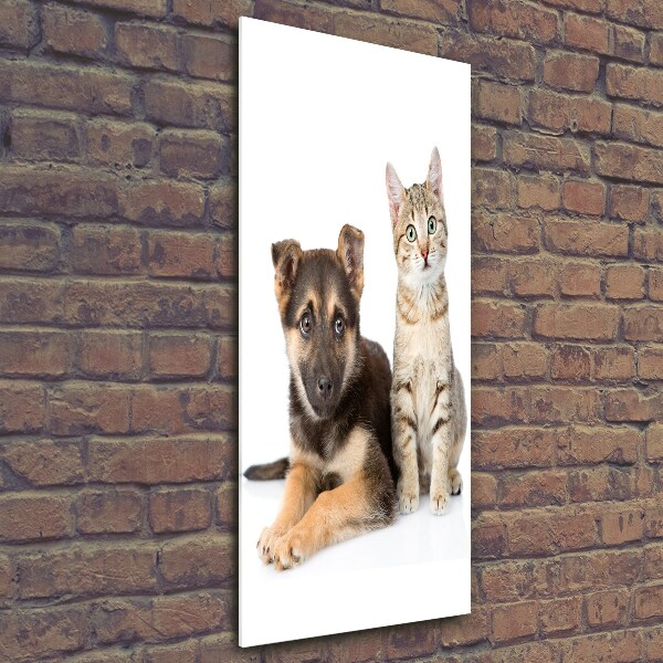 Wall art on glass Dog and cat