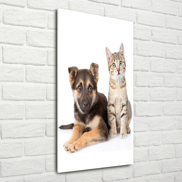 Wall art on glass Dog and cat