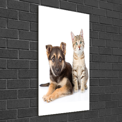 Wall art on glass Dog and cat