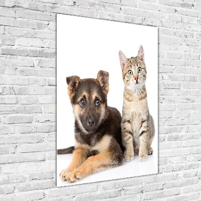 Wall art on glass Dog and cat