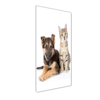 Wall art on glass Dog and cat