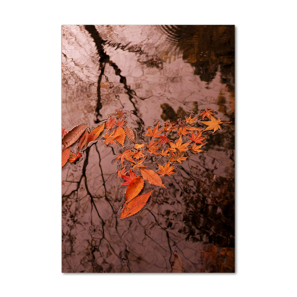 Wall art on glass Autumn leaves