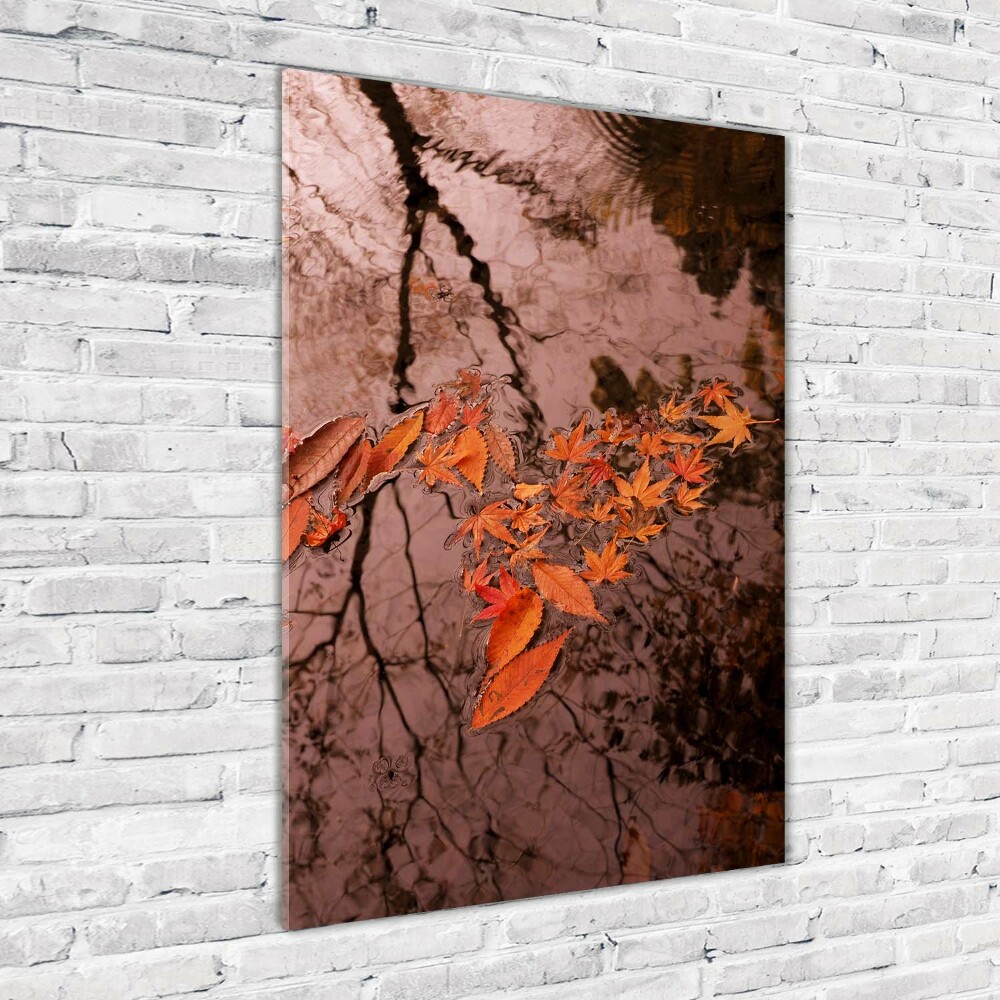 Wall art on glass Autumn leaves