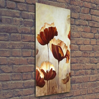 Wall art on glass Field poppies