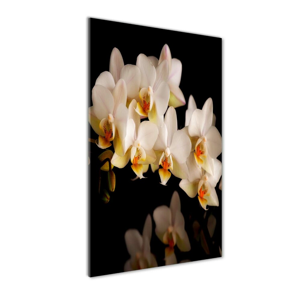 Print on a a glass Orchid