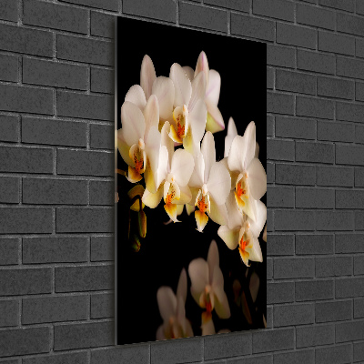 Print on a a glass Orchid