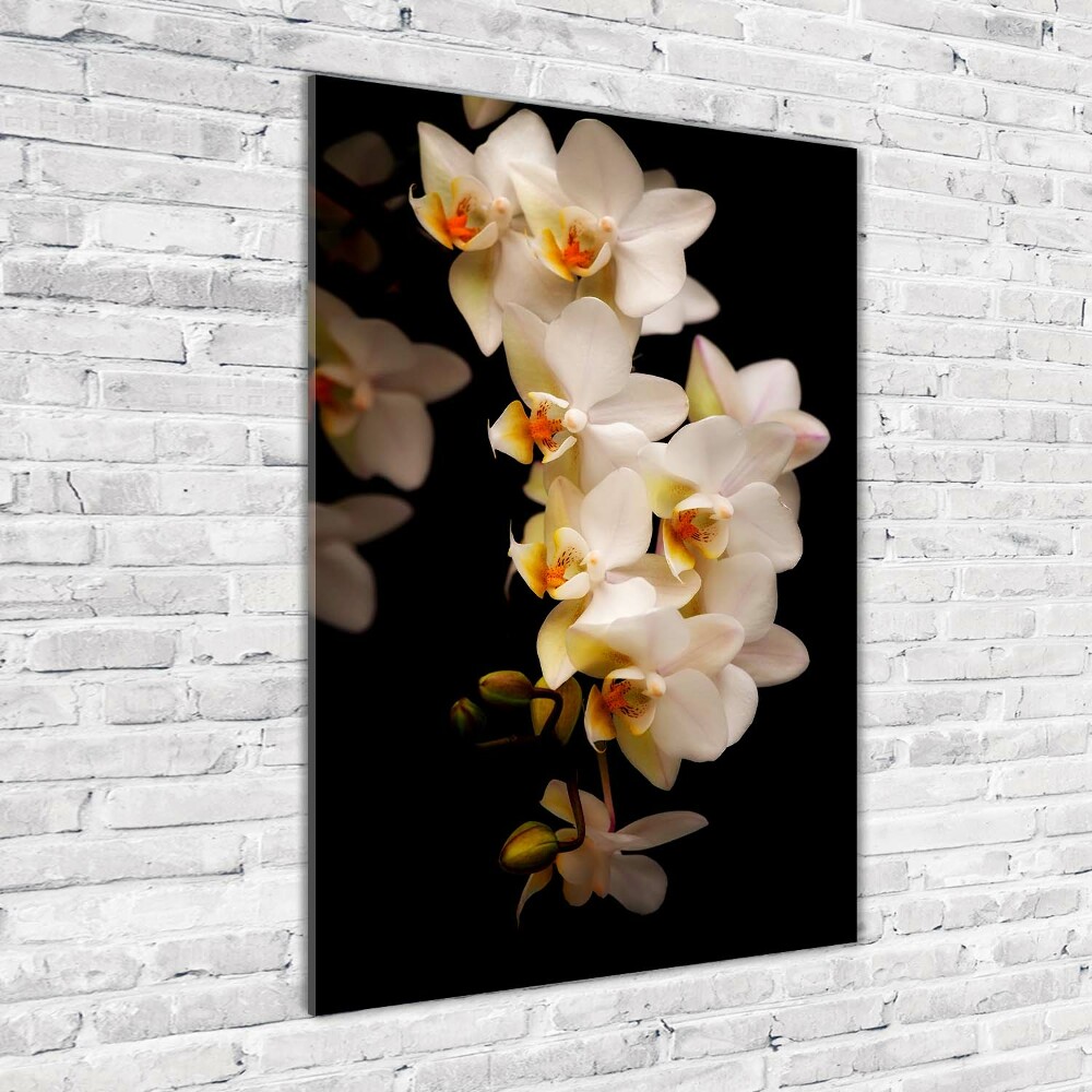 Print on a a glass Orchid