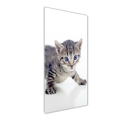 Glass art picture Small cat