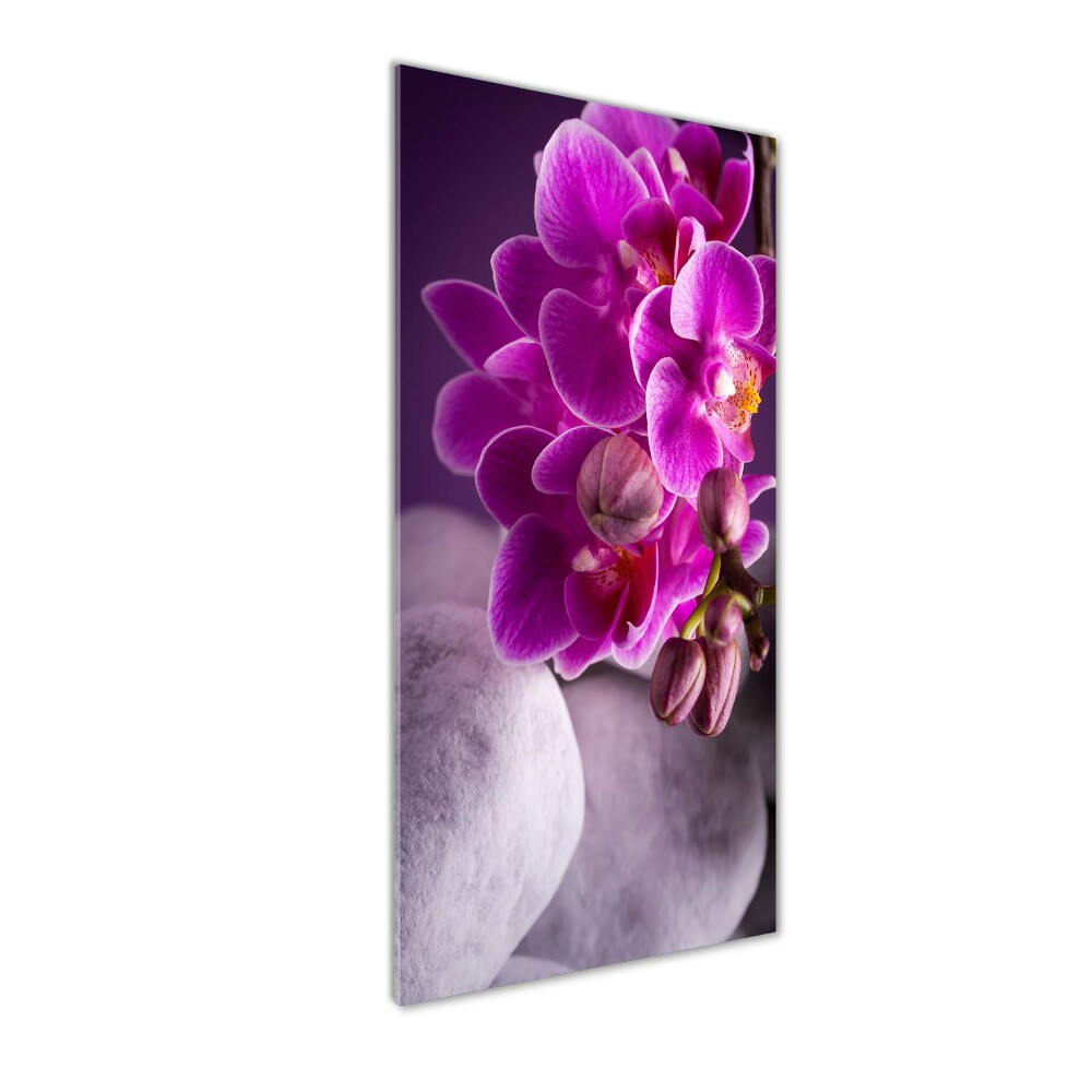 Wall art on glass Pink orchid