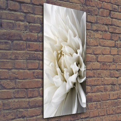 Wall art on glass White Dalia